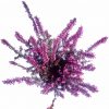 Vresovec - Erica Carnea